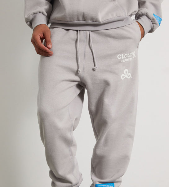 Cloud9 x PacSun Future Sweatpants. Gray