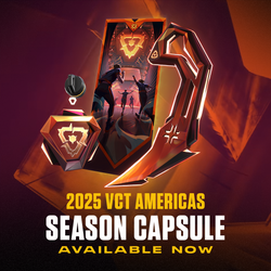 2025 VCT Season Capsule