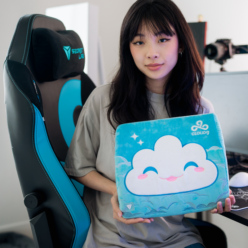 Secretlab Memory Foam Lumbar Pillow